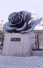 町の花　バラ